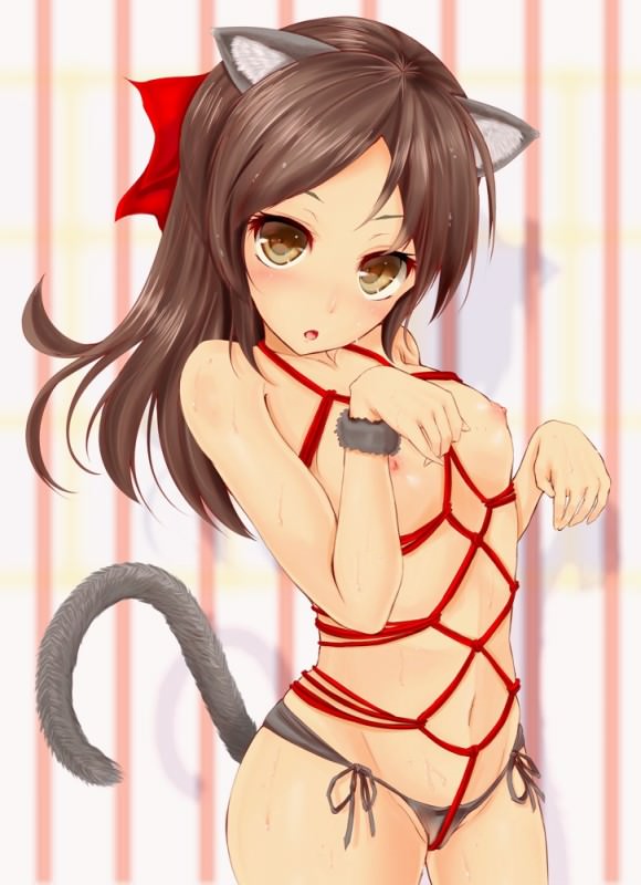  ,  ,    ,      .       ,       